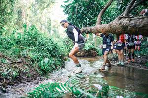 BIB: 
                            <button type="button" onclick="openModal(25477489)" class="btn btn-primary btn-sm float-right btn-popup" data-toggle="modal" data-target=".modal-high-quality">
                        <i class="fas fa-shopping-cart"></i> Add to Cart
                    </button>
                                            <button type="button" onclick="isThisMe(25477489, true)" class="btn btn-success btn-sm float-right btn-popup btn-isme hidden" data-toggle="tooltip" data-placement="bottom" title="นี่คือรูปของคุณใช่ไหม คลิกที่นี่เพื่อเอาเข้าอัลบั้ม">
                        <i class="fas fa-plus"></i> Add to album
                    </button>
                    <button type="button" onclick="isThisMe(25477489, false)" class="btn btn-warning btn-sm float-right btn-popup btn-isnotme hidden">
                        <i class="fas fa-ban"></i> Remove from album
                    </button>